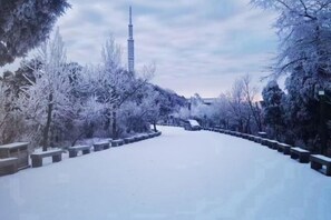 Property grounds - Hengyang Nanyue Hengshan Qingshan Yunju (Hengyang)