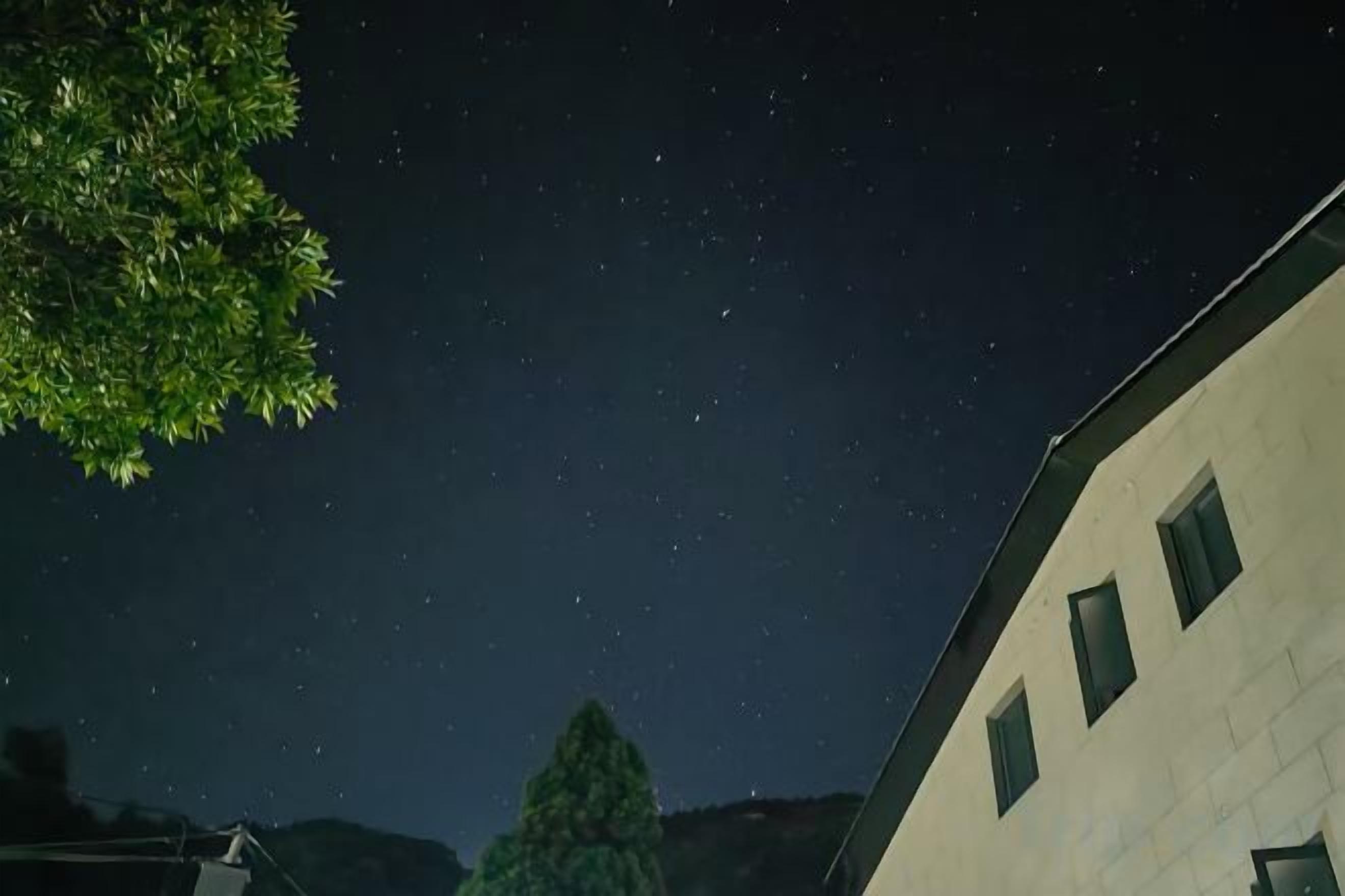Um céu noturno estrelado, um edifício com várias janelas e uma árvore.
