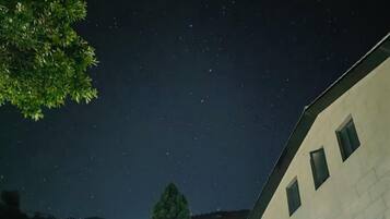 Um céu noturno estrelado, um edifício com várias janelas e uma árvore.