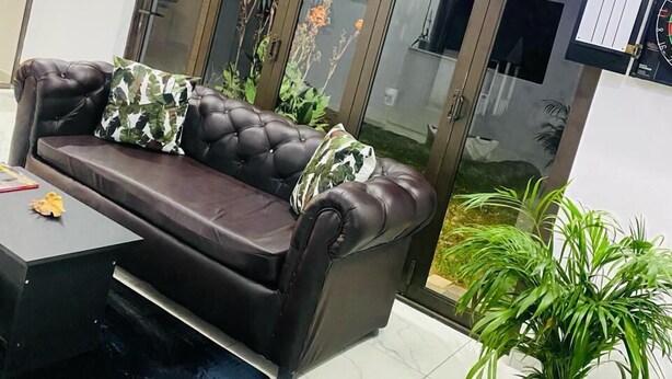 A modern living room with a dark brown leather sofa, a glass cabinet with plants, and a potted plant on the floor.
