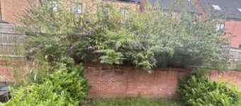 Room in Lenton with free parking