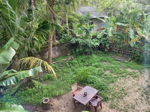 Cafofo_amazônia Selva Tropical y Playa !