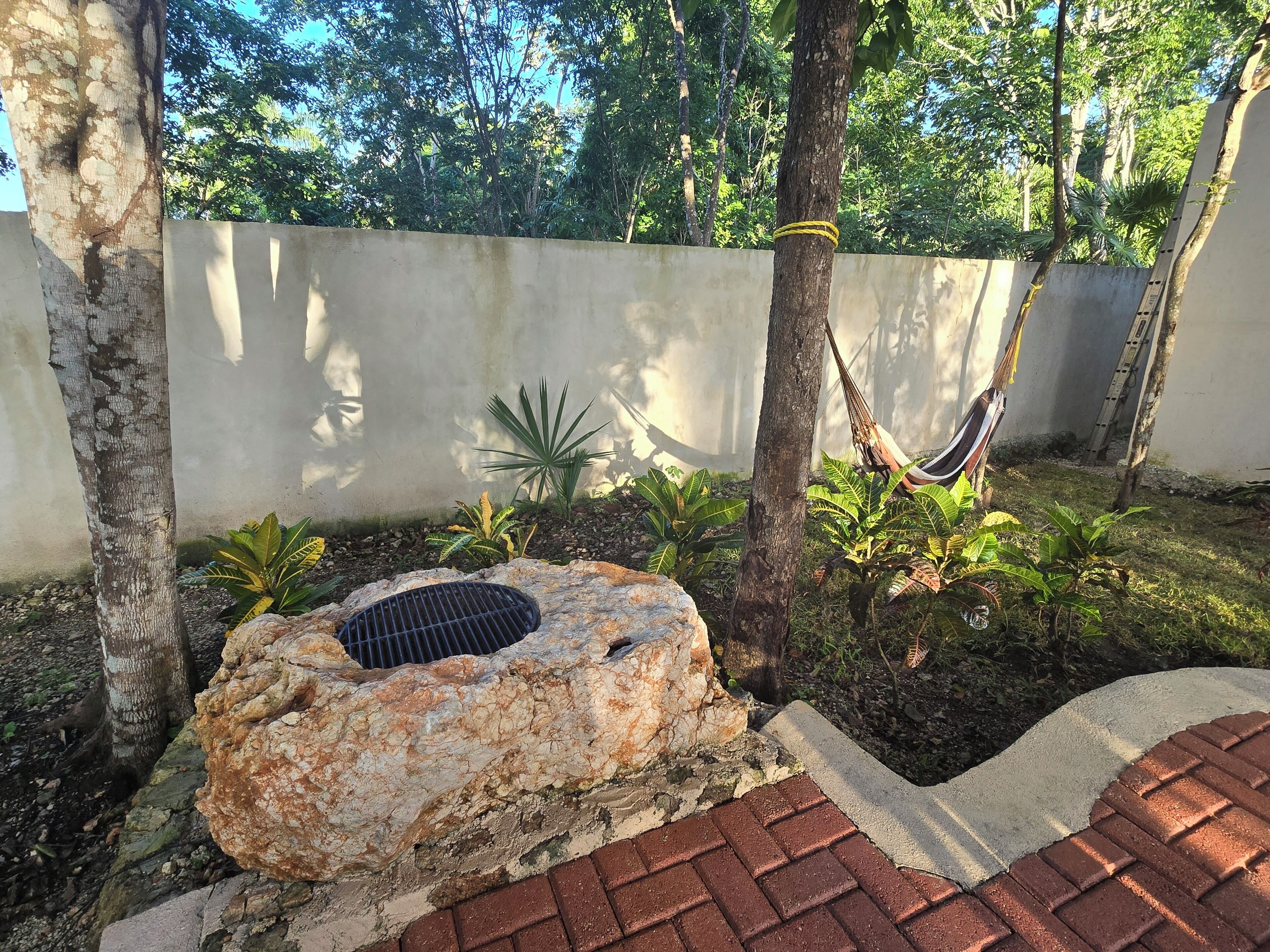Un jardín con una parrilla, una hamaca y diversas plantas.