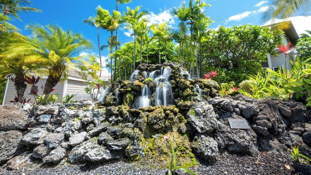 A waterfall cascading over rocks with lush greenery and palm trees around.