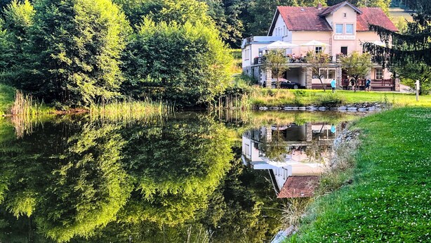 A lakeside hotel with a reflection in the water, surrounded by lush greenery. - Famielienapartment "An der Forellenschänke " (Sebnitz)