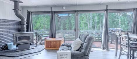 TV, fireplace, DVD player