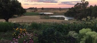 The Studio at historic farm - Farm stay in Sassafras, Australia

