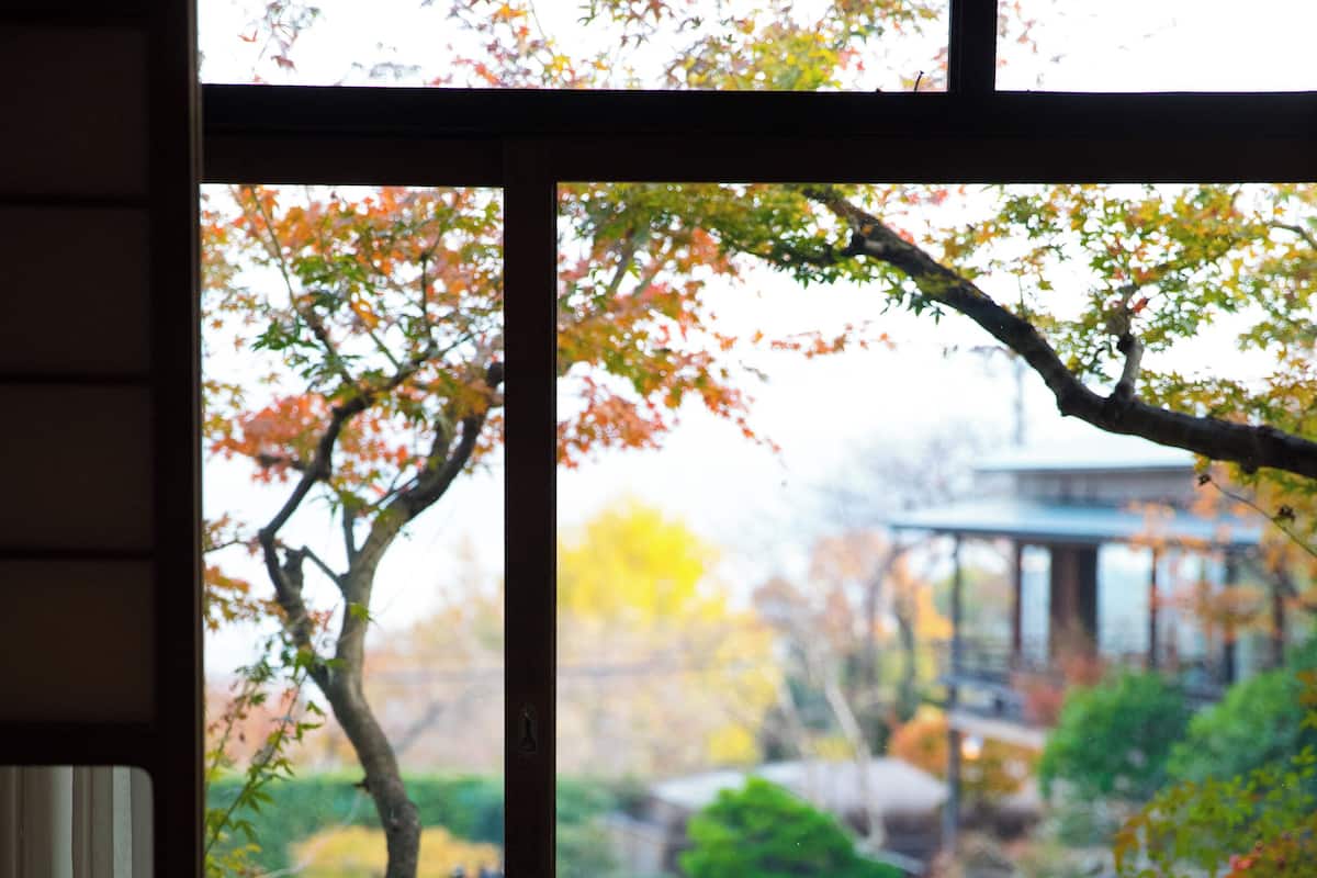 A room with a view of a garden through a large window, a chair, and a small table.
