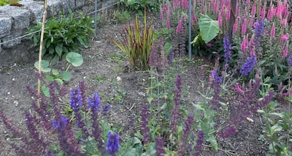 Ferienwohnung mit eigenem Pool in der Lüneburger Heide