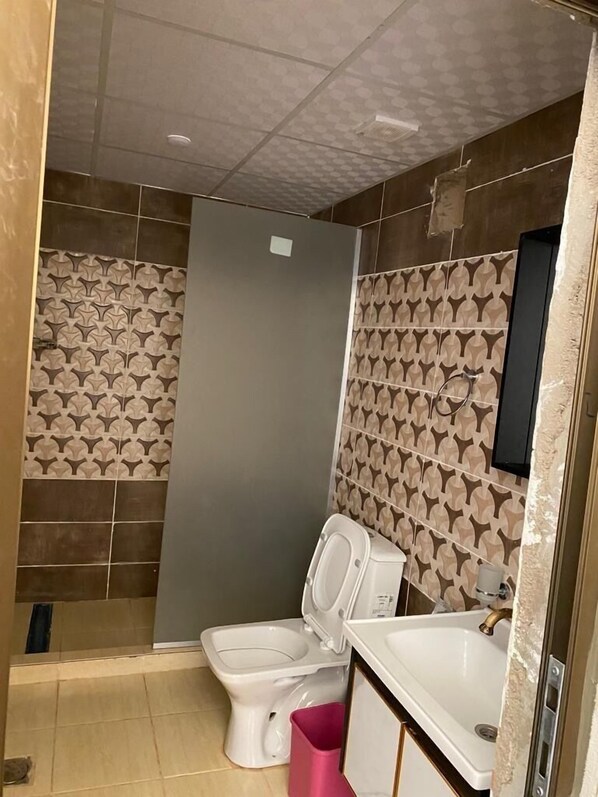 A bathroom with a toilet, sink, and shower area. - Alsultanh wadirum camp (Wadi Rum)