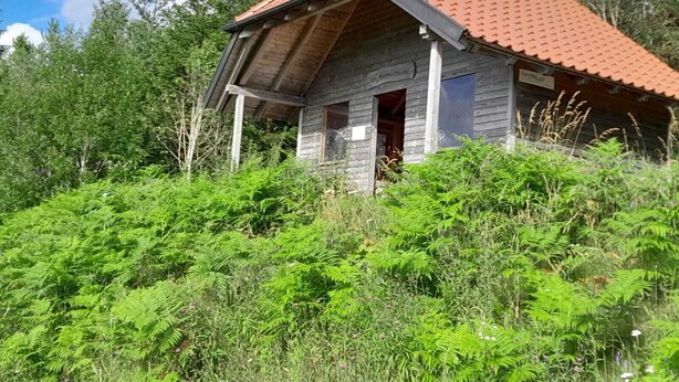 Eksteriør