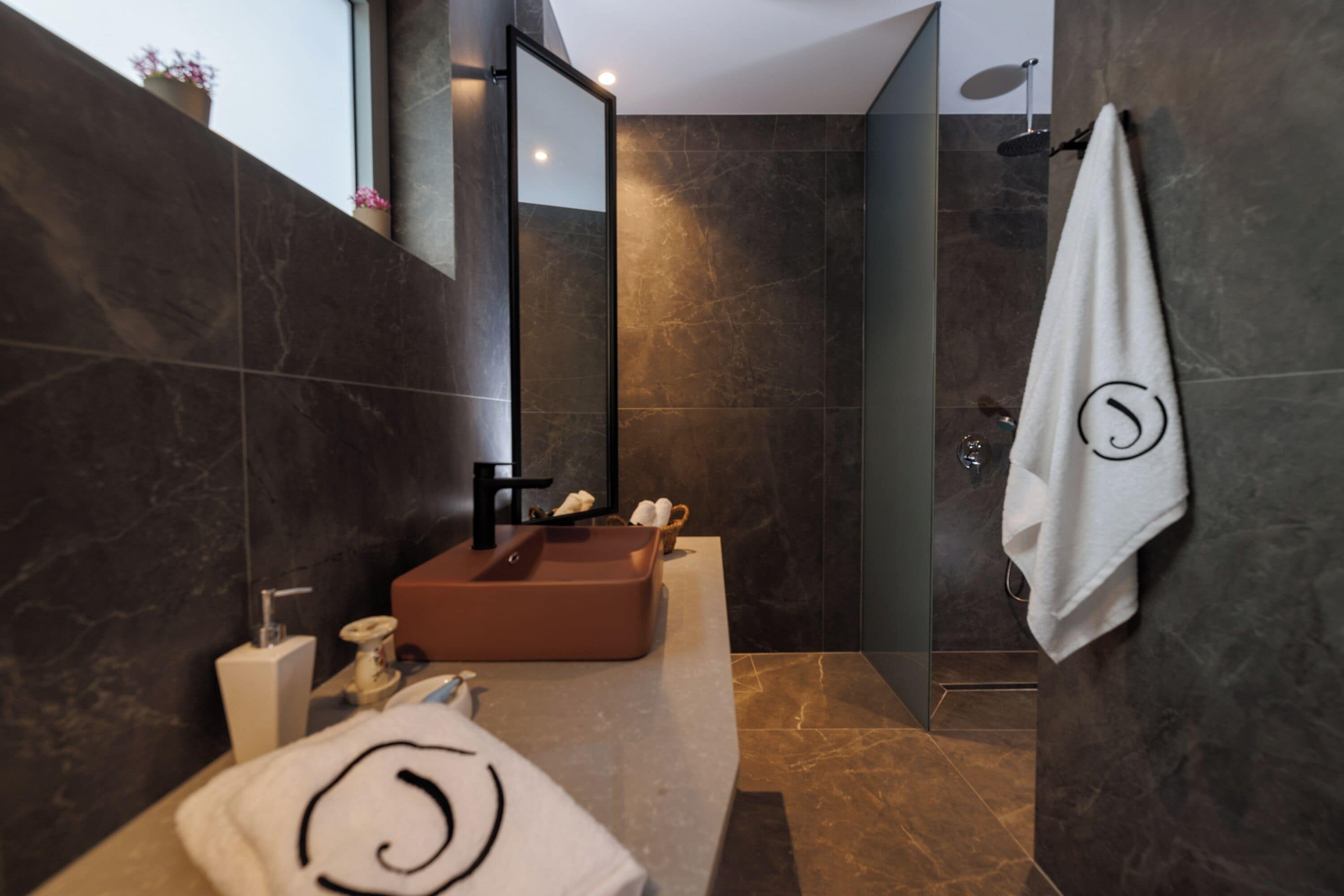 Ducha, cabezal de ducha tipo lluvia, secador de pelo, toallas