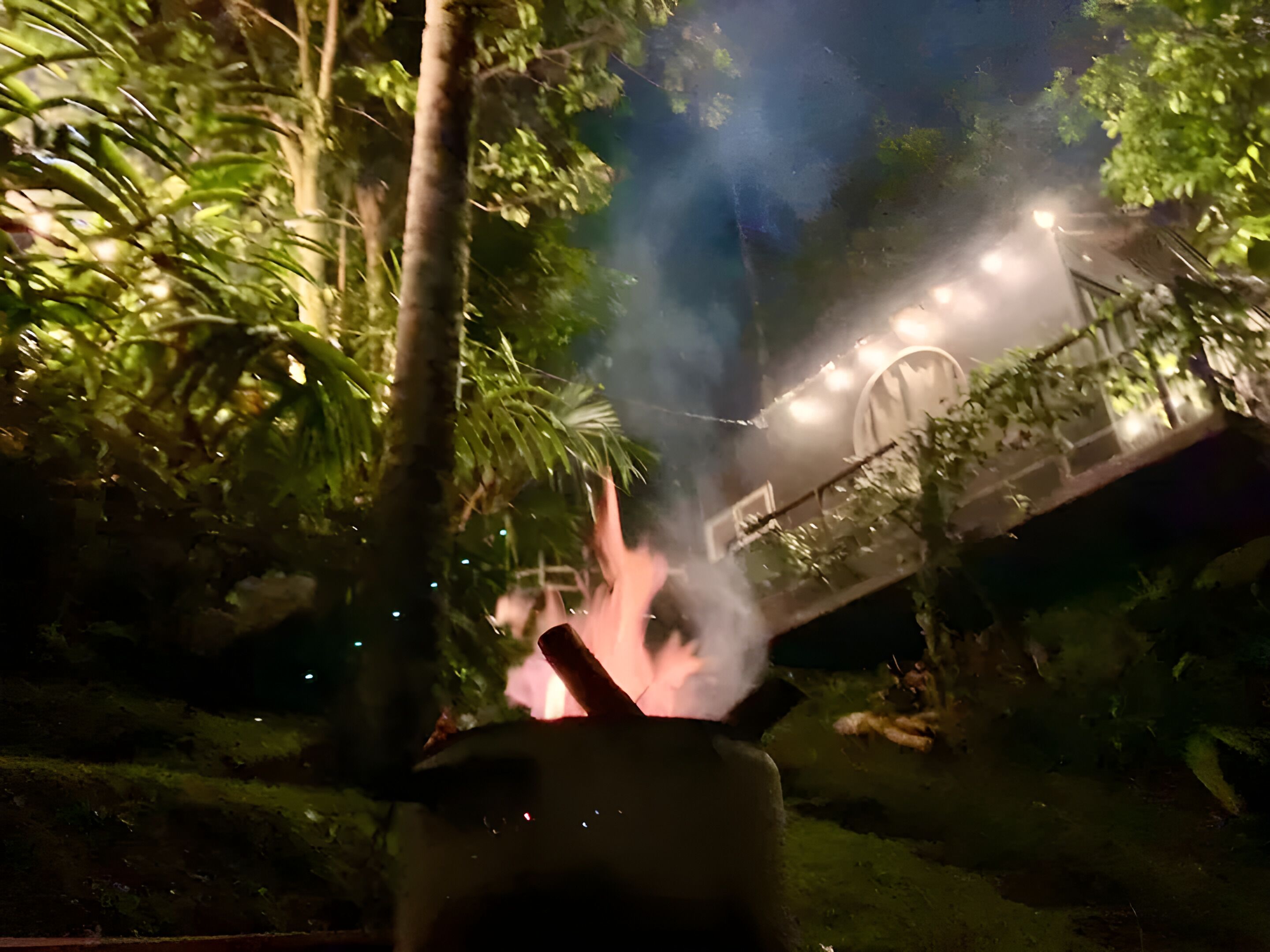 A night scene with a bridge and trees.