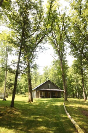 Exterior - Rare Modern 3-bedroom cabin in Baldwin (Baldwin)