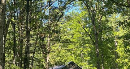 Rare Modern 3-bedroom cabin in Baldwin
