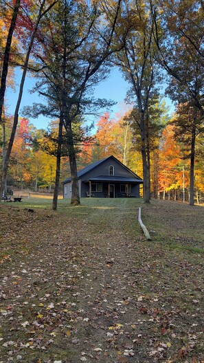 Exterior - Rare Modern 3-bedroom cabin in Baldwin (Baldwin)
