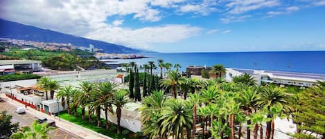 A coastal cityscape with a view of the sea, palm trees, and a building with solar panels.