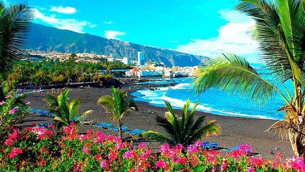 Una playa con vistas a un pueblo costero, palmeras y flores coloridas.