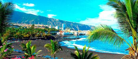 Accommodatie ligt op het strand