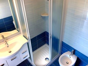 Shower, hair dryer, bidet, towels