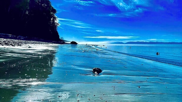 Une plage à l’eau claire, une rive sablonneuse et, au loin, une chaîne de montagnes sous un ciel bleu.