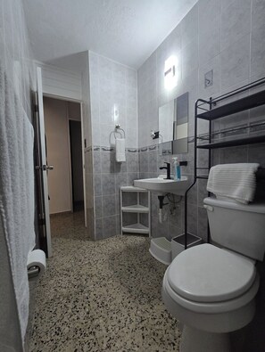 Secador de cabelo, toalhas de banho, papel higiênico 