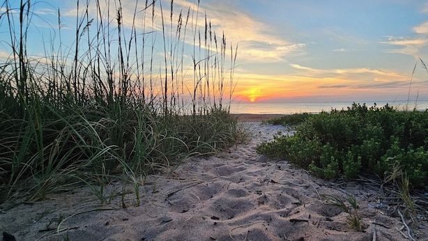 Ein sandiger Pfad führt zu einem Strand mit hohem Gras und Sträuchern, vor einem Sonnenuntergangshimmel.