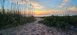 En sandsti der fører til en strand med høje græsser og buske, under en solnedgangshimmel.
