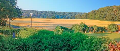Àrea exterior de l'allotjament