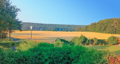 Stunning home in Sulzdorf a.d.Lederheck