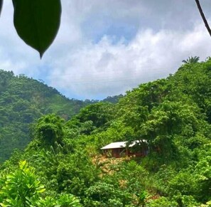 Vista des de l'allotjament