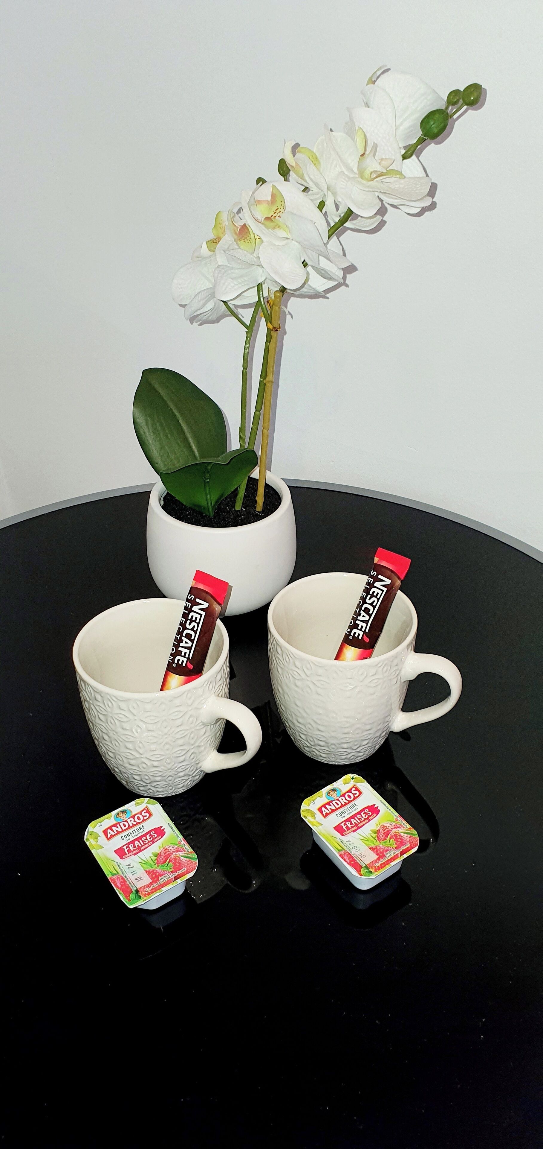 Two white ceramic cups with Nescafé instant coffee packets, a potted orchid, and a container of Andros fruit yogurt.