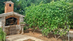 Un horno de ladrillo al aire libre con base de piedra, rodeado por un jardín con parras.
