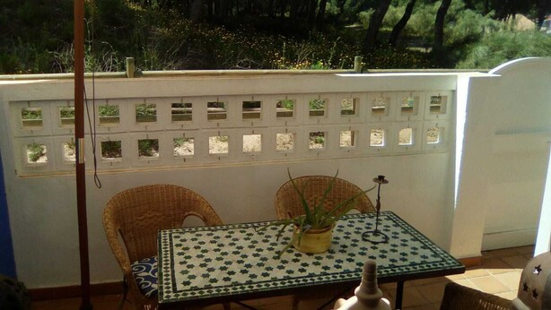 Un área de patio al aire libre con una mesa, sillas y una planta en maceta.