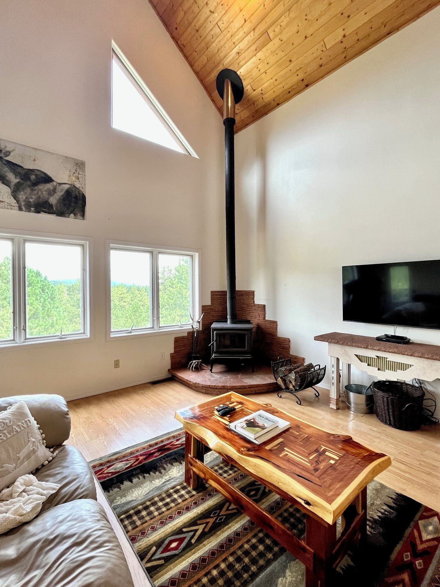 Smart TV, fireplace, video games