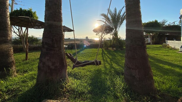 A swing set between palm trees with a clear sky and a fence in the background.
