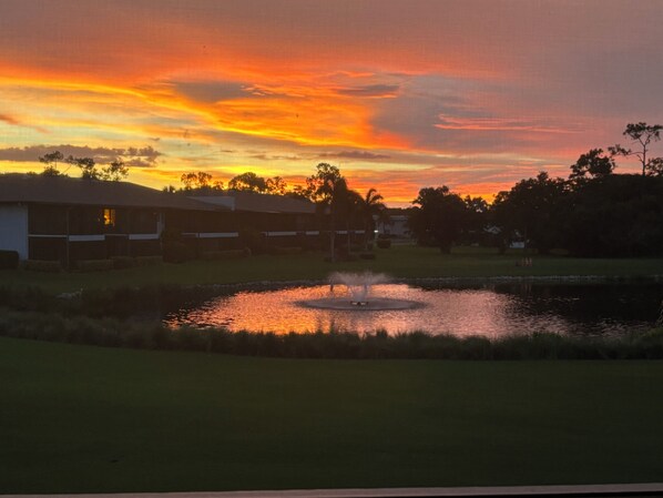 Property grounds - Resort - Style Condo in Naples, Florida (Naples)
