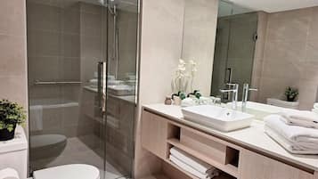 Shower, free toiletries, hair dryer, towels
