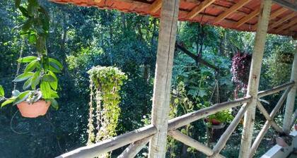 Acomodação Penedo Local Para Relaxar e Curtir o Verde 24981494253