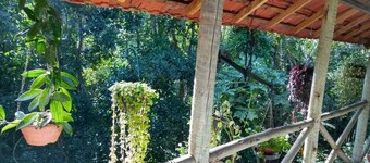 Acomodação Penedo Local Para Relaxar e Curtir o Verde 24981494253