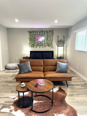 TV - The Wild West Downtown Studio! Free WiFi! (Houston)