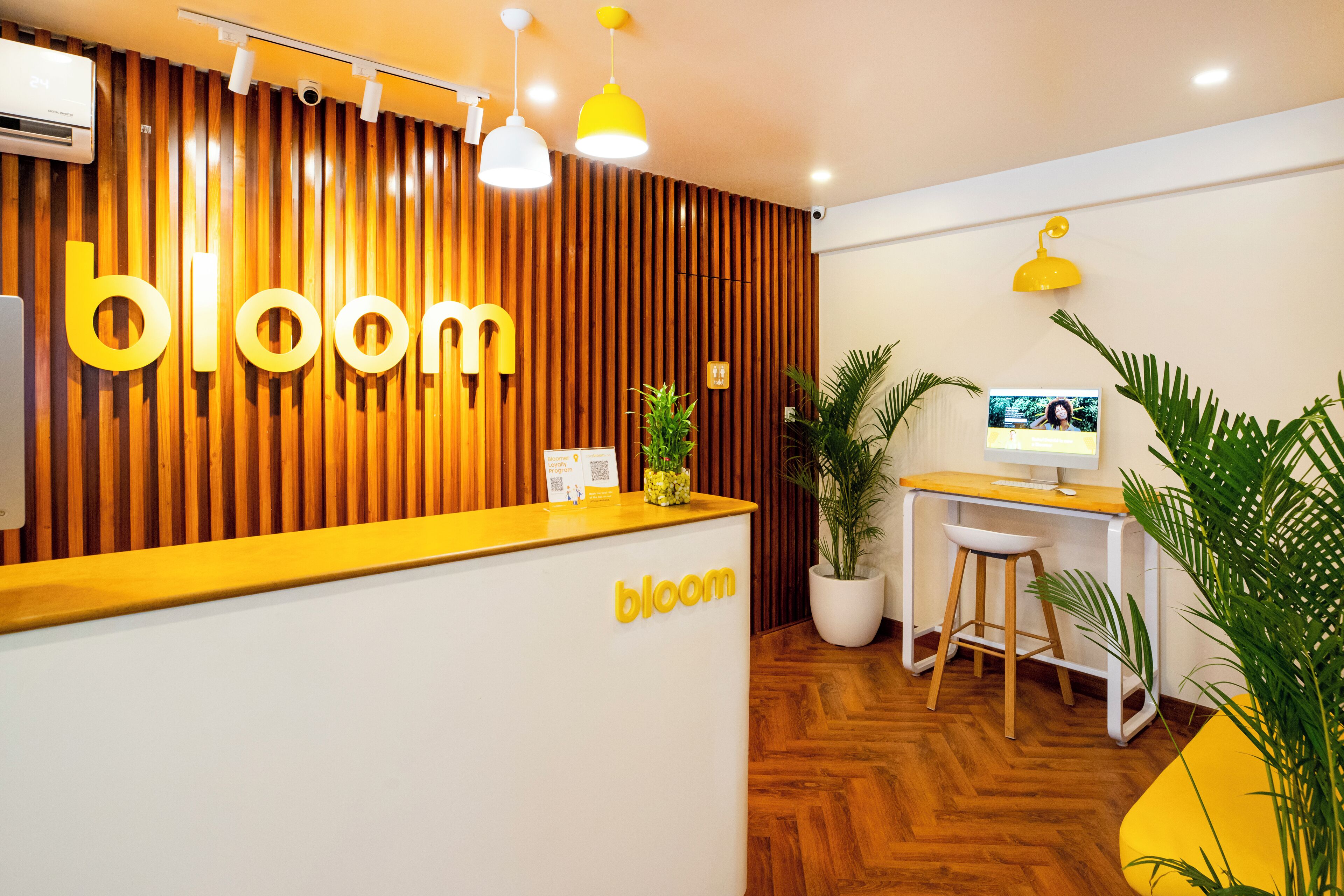Una recepción con la marca 'bloom', un revestimiento de madera en listones, una planta en maceta, una computadora y un taburete.