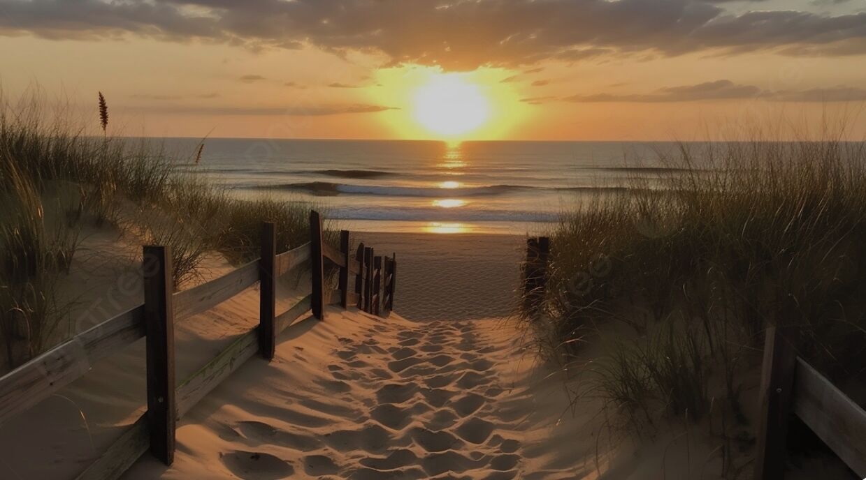 サンラウンジャー