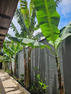 Exterior detail - Large and private suite overlooking the pool. (Campo Belo São Paulo)