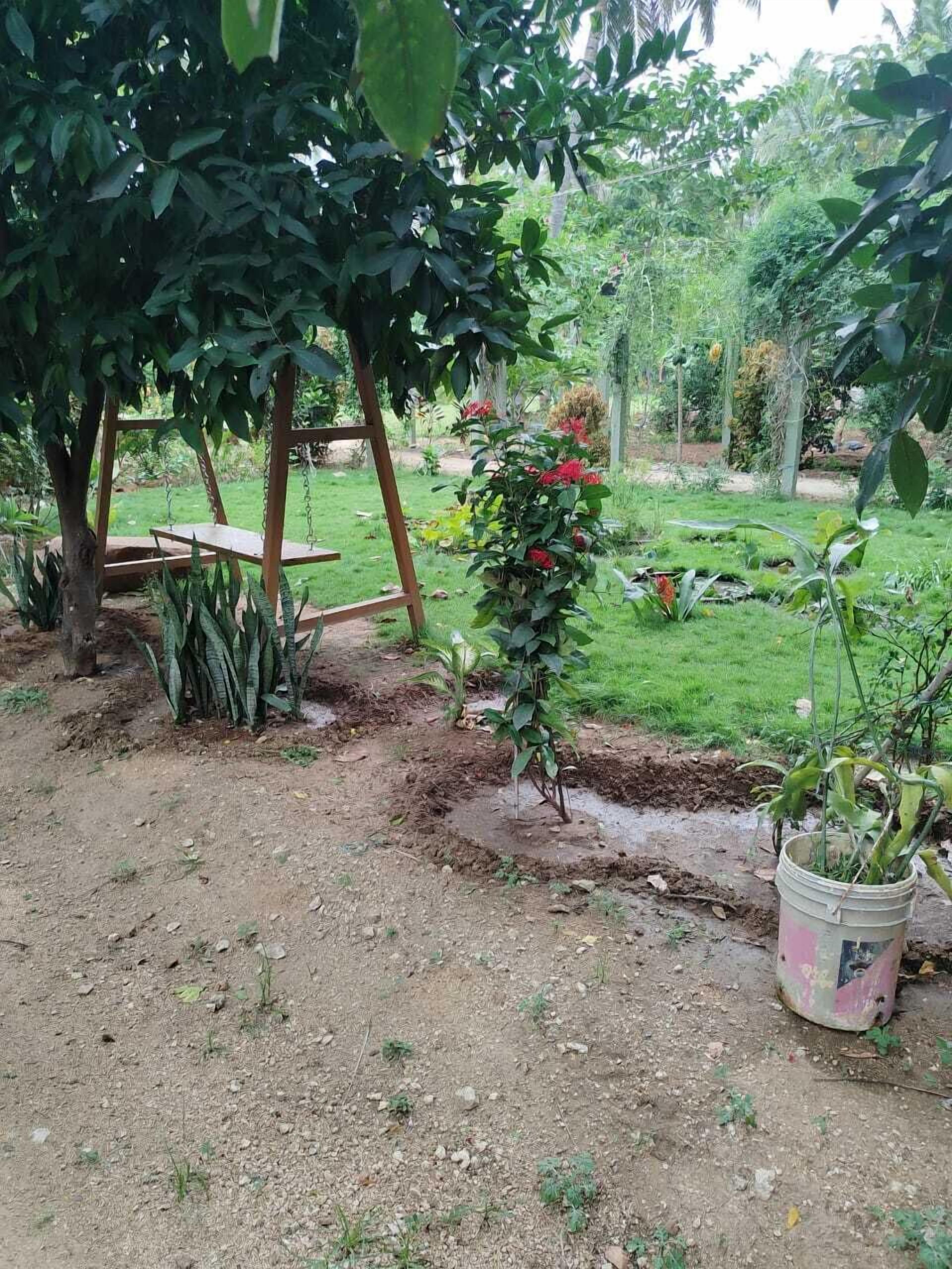 Een tuin met een houten schommel, een klein waterpartij en verschillende planten.