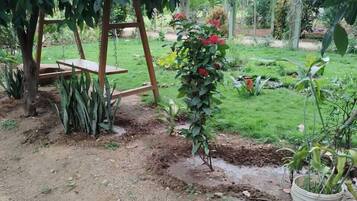 Een tuin met een houten schommel, een klein waterpartij en verschillende planten.