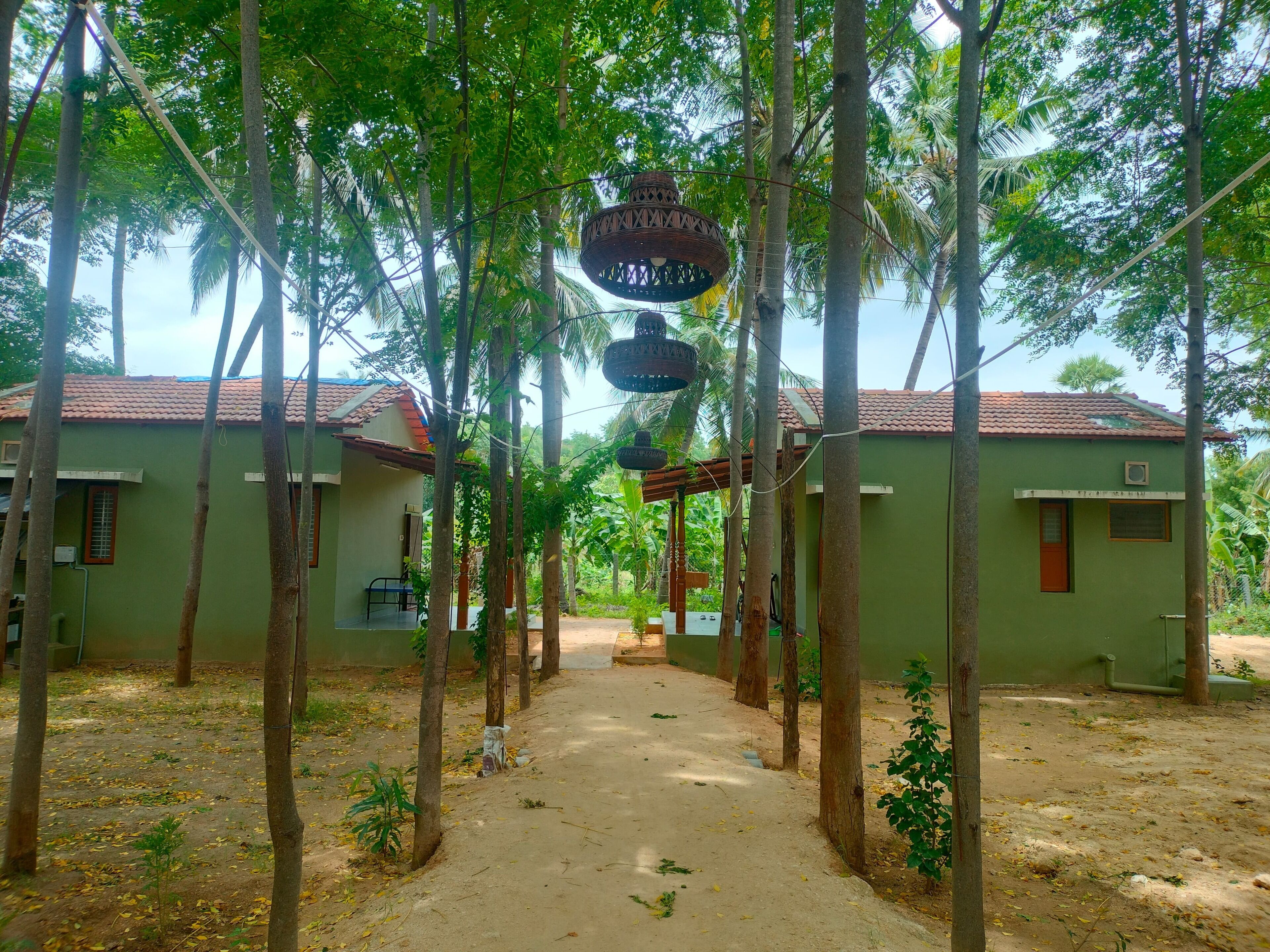 Superior Room | Garden view