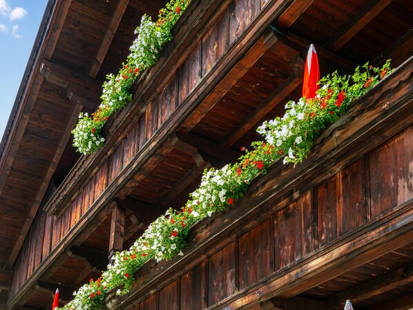 Exterior detail - Cosy apartment for families (Alpbach)