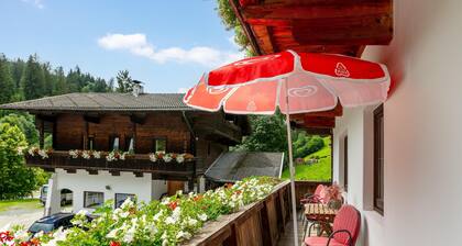 Large family apartment by the Alpbach ski lift