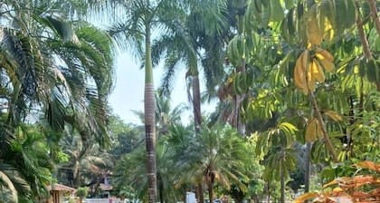 1 BHK in serene & quaint Siolim , swimming pool ,air conditioned with WIFI